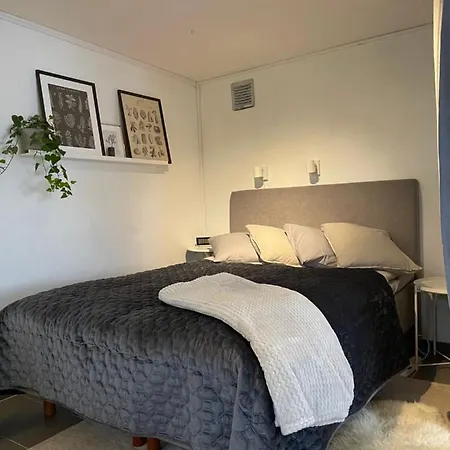 Cozy Studio With Garden Access